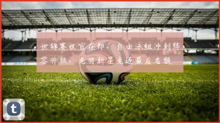 世锦赛收官在即，自由泳组冲刺阵容升级，老将新星竞逐最后名额