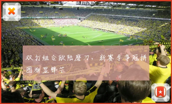 双打组合欧陆磨刀，新赛季争冠拼图渐显锋芒