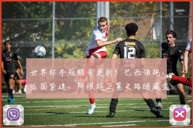 世界杯夺冠赔率更新：巴西领跑，法国紧追，阿根廷卫冕之路暗藏变数