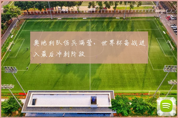 奥地利队伤兵满营，世界杯备战进入最后冲刺阶段