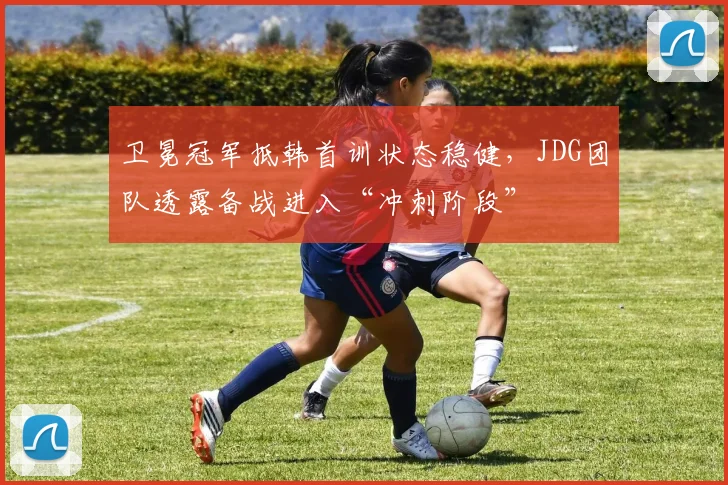 卫冕冠军抵韩首训状态稳健，JDG团队透露备战进入“冲刺阶段”