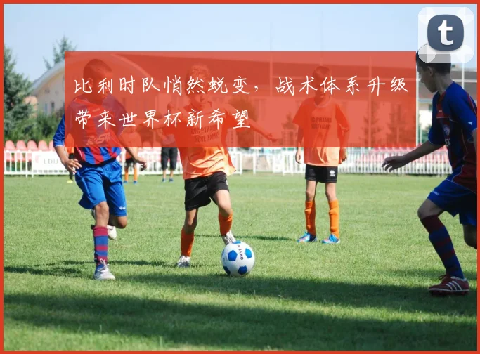 比利时队悄然蜕变，战术体系升级带来世界杯新希望