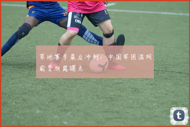草地赛季最后冲刺，中国军团温网前景渐露曙光
