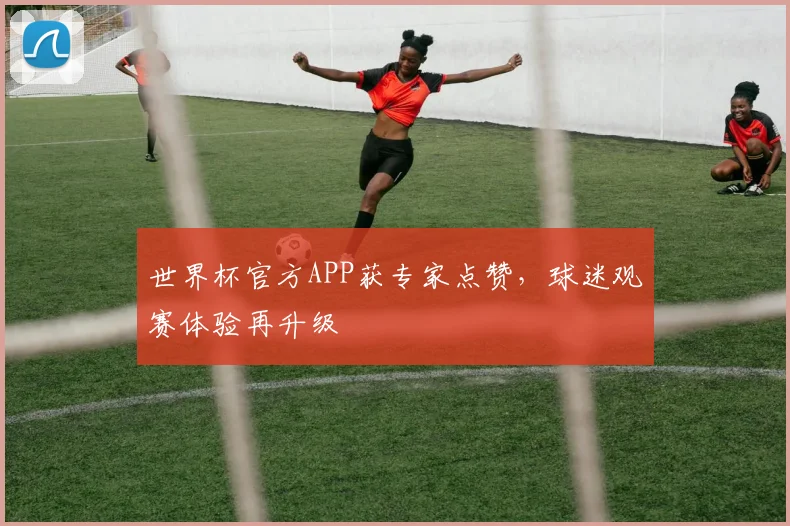 世界杯官方APP获专家点赞，球迷观赛体验再升级