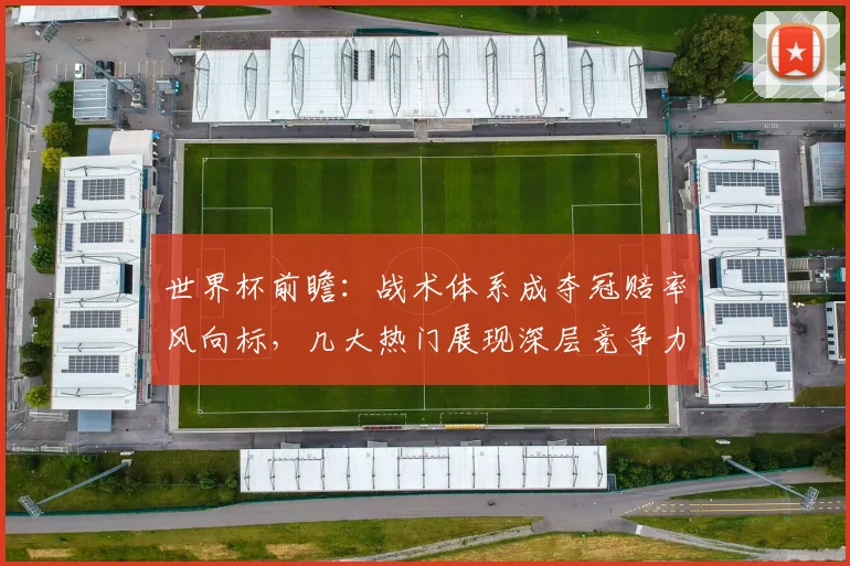 世界杯前瞻：战术体系成夺冠赔率风向标，几大热门展现深层竞争力
