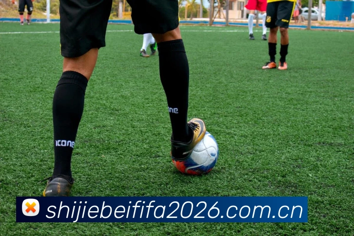 2026世界杯 多终端观赛